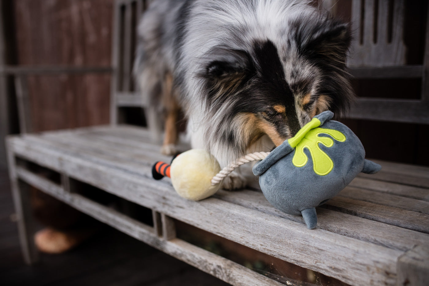 Howling Haunts Pup's Potion