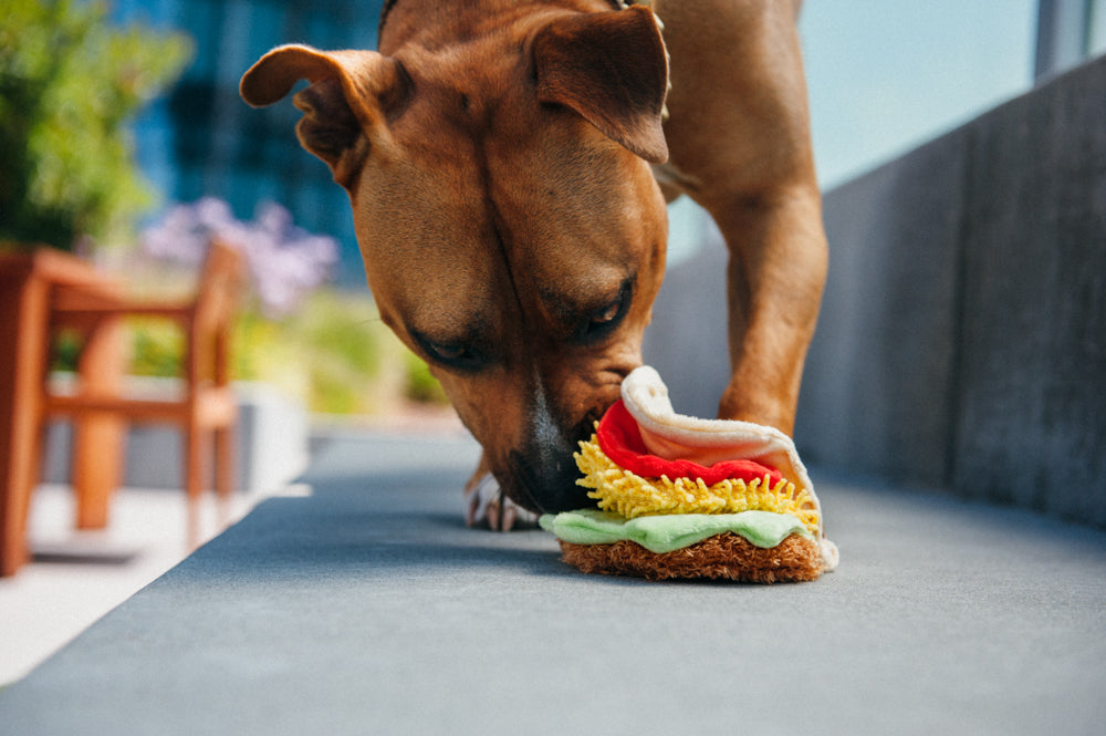 International Classic Tail Waggin' Taco
