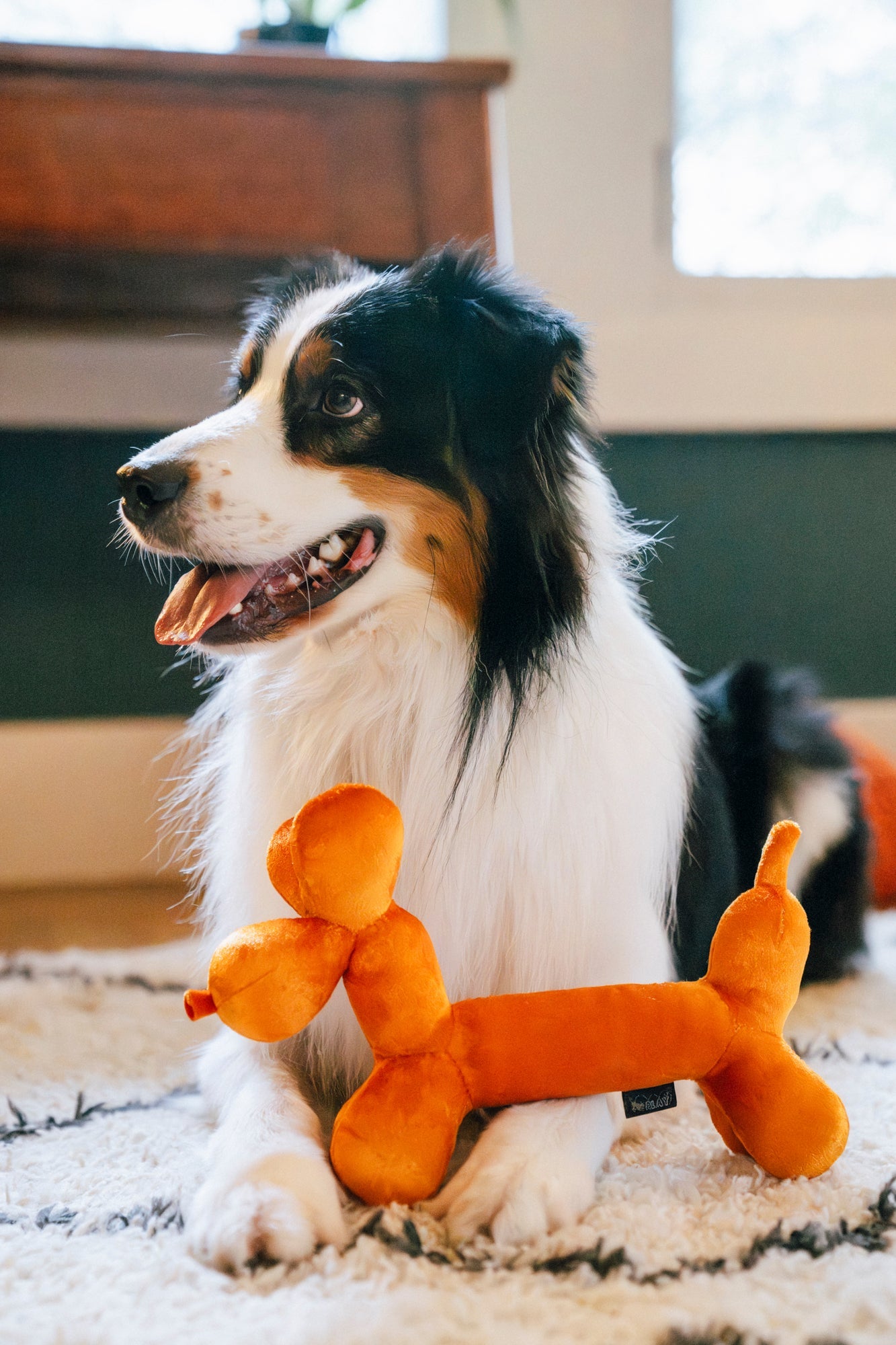 Party Animal Balloon Buddy
