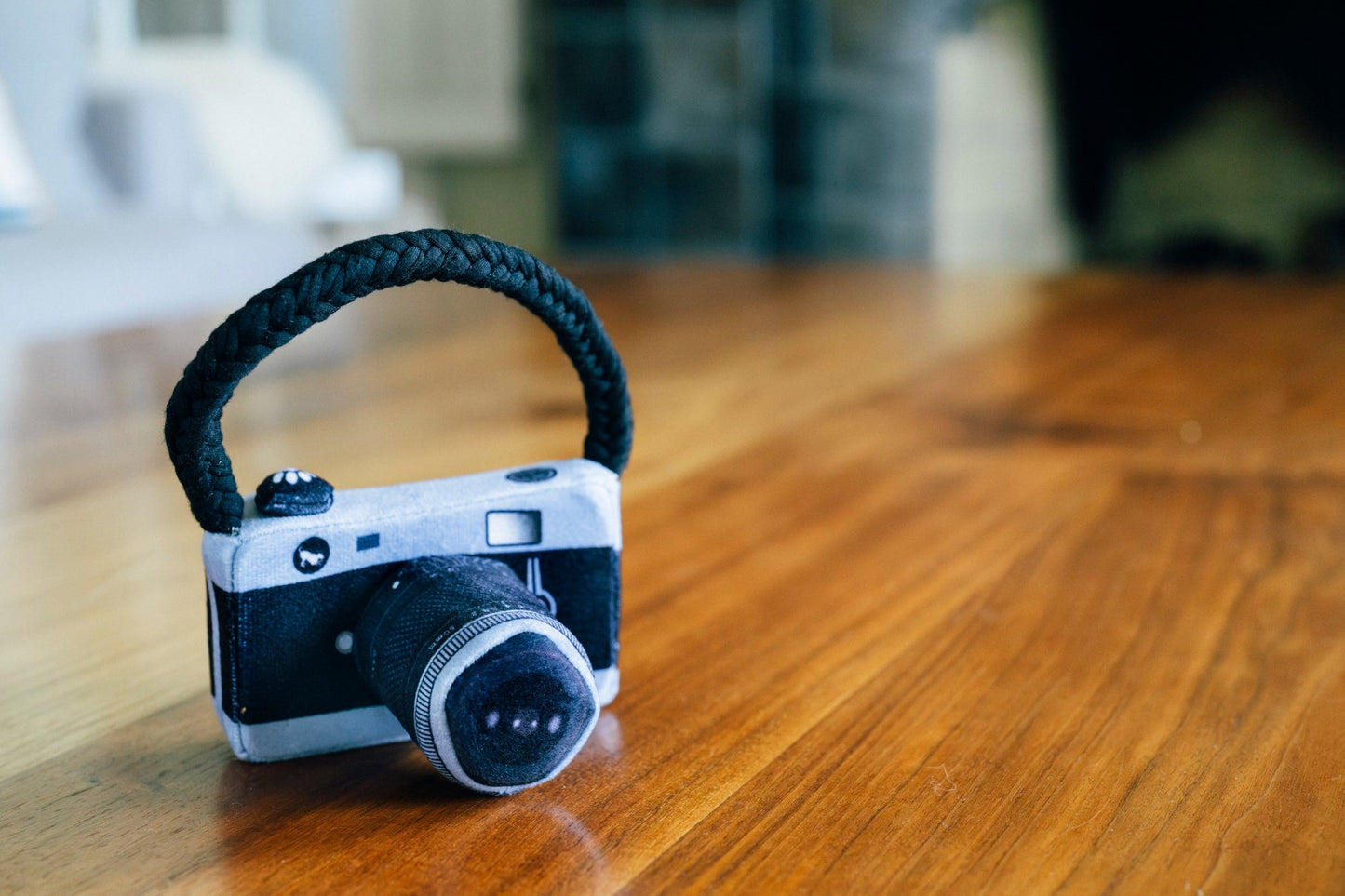 Mini Globetrotter Lens Licker Camera