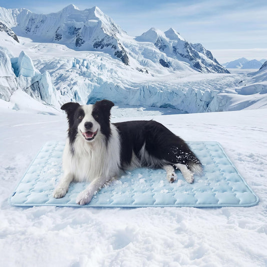 Cooling Mat for Large Dogs (Up to 50 lbs), Q-Max>0.5 Thin Breathable Cold Crate Pad for Pet, Portable Washable Kennel Bed for Summer Active Dog with Chill Cool Soothing Fabric to Rapid Cooling, Non-Slip, Portable, Cooling Tech
