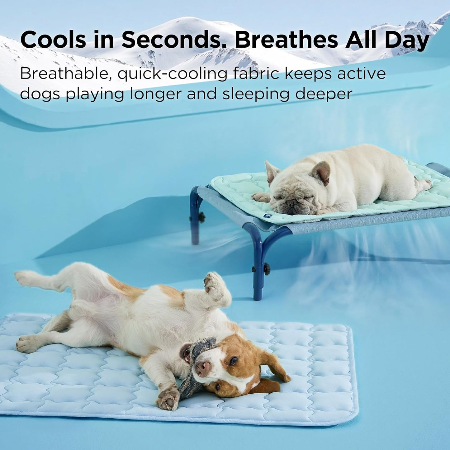 Cooling Mat for Large Dogs (Up to 50 lbs), Q-Max>0.5 Thin Breathable Cold Crate Pad for Pet, Portable Washable Kennel Bed for Summer Active Dog with Chill Cool Soothing Fabric to Rapid Cooling, Non-Slip, Portable, Cooling Tech