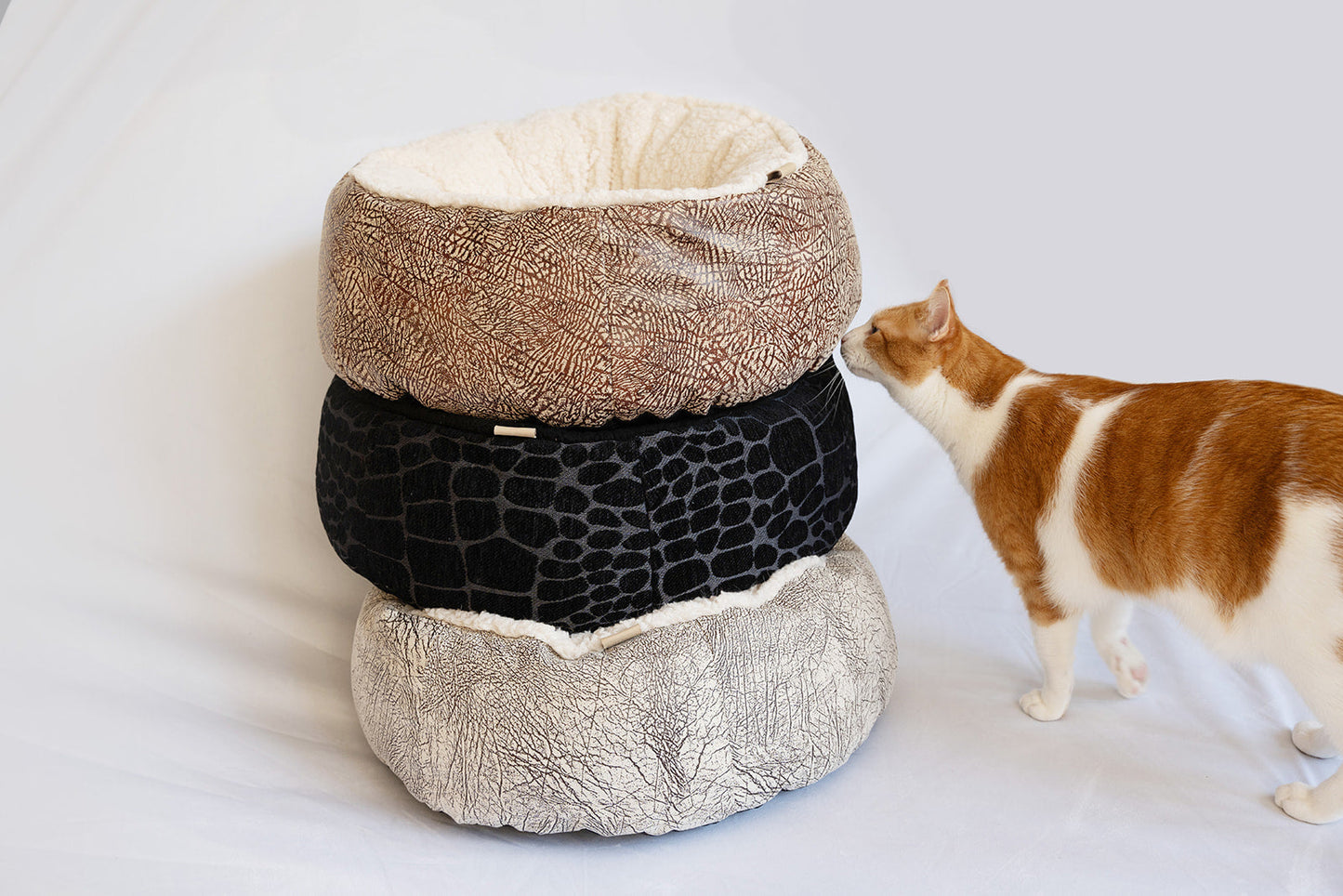Feline Frenzy Donut Cuddler Bed