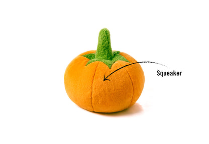 Garden Fresh Pumpkin