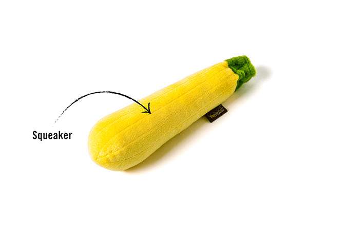 Garden Fresh Zucchini