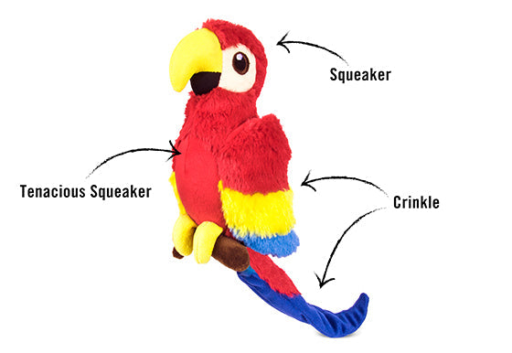 Fetching Flock Paula the Parrot