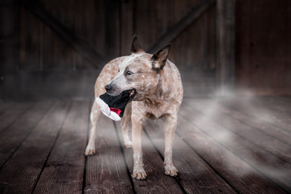 Howling Haunts Barky's Bite