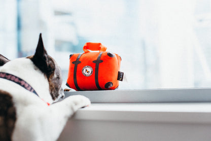 Globetrotter Collection