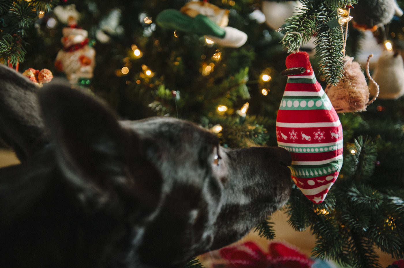 Santa's Little Squeakers Collections
