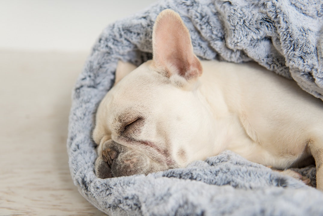 Snuggle Bed®