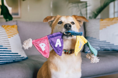 Party Animal Tug n’ Party Banner