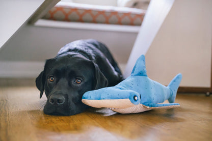 Ocean Buddies Bonk the Hammerhead