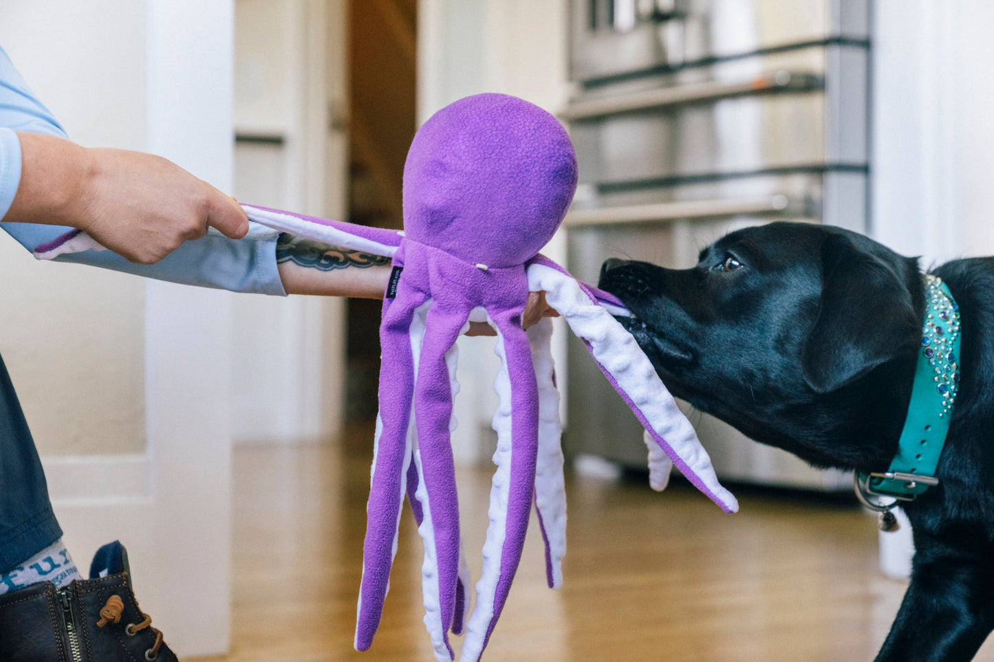 Ocean Buddies Opal the Octopus