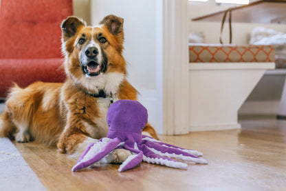 Ocean Buddies Opal the Octopus