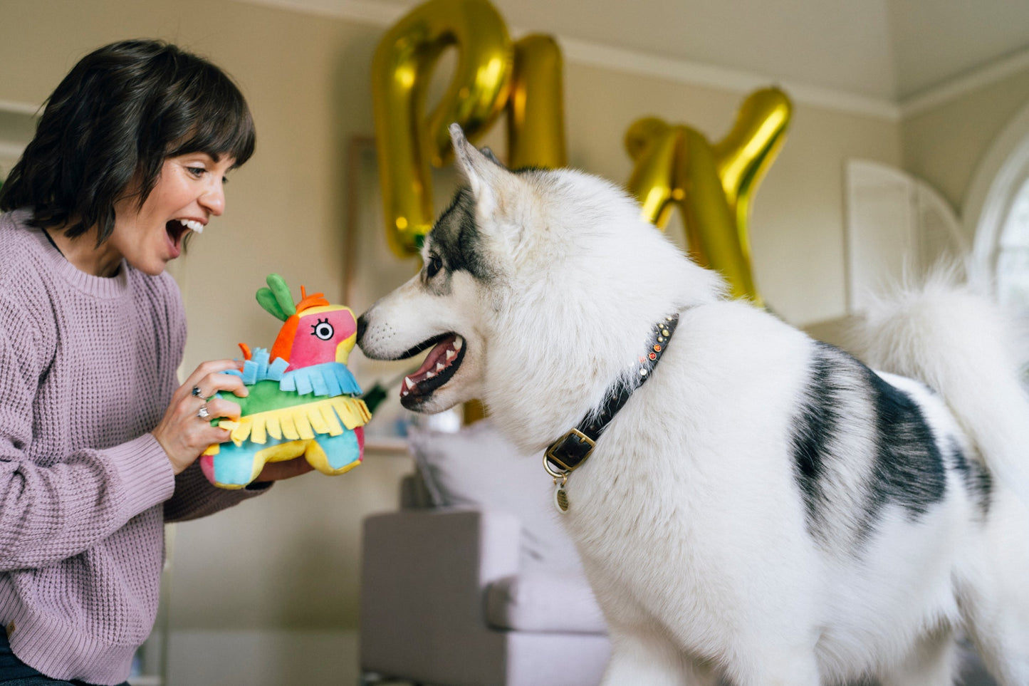 Party Animal Fiesta Fetch Pinata