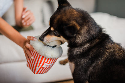 Hollywoof Cinema Poppin' Pupcorn