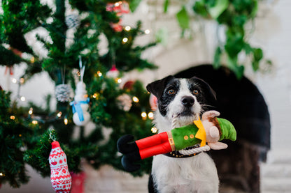 Merry Woofmas Santa's Little Elf-er