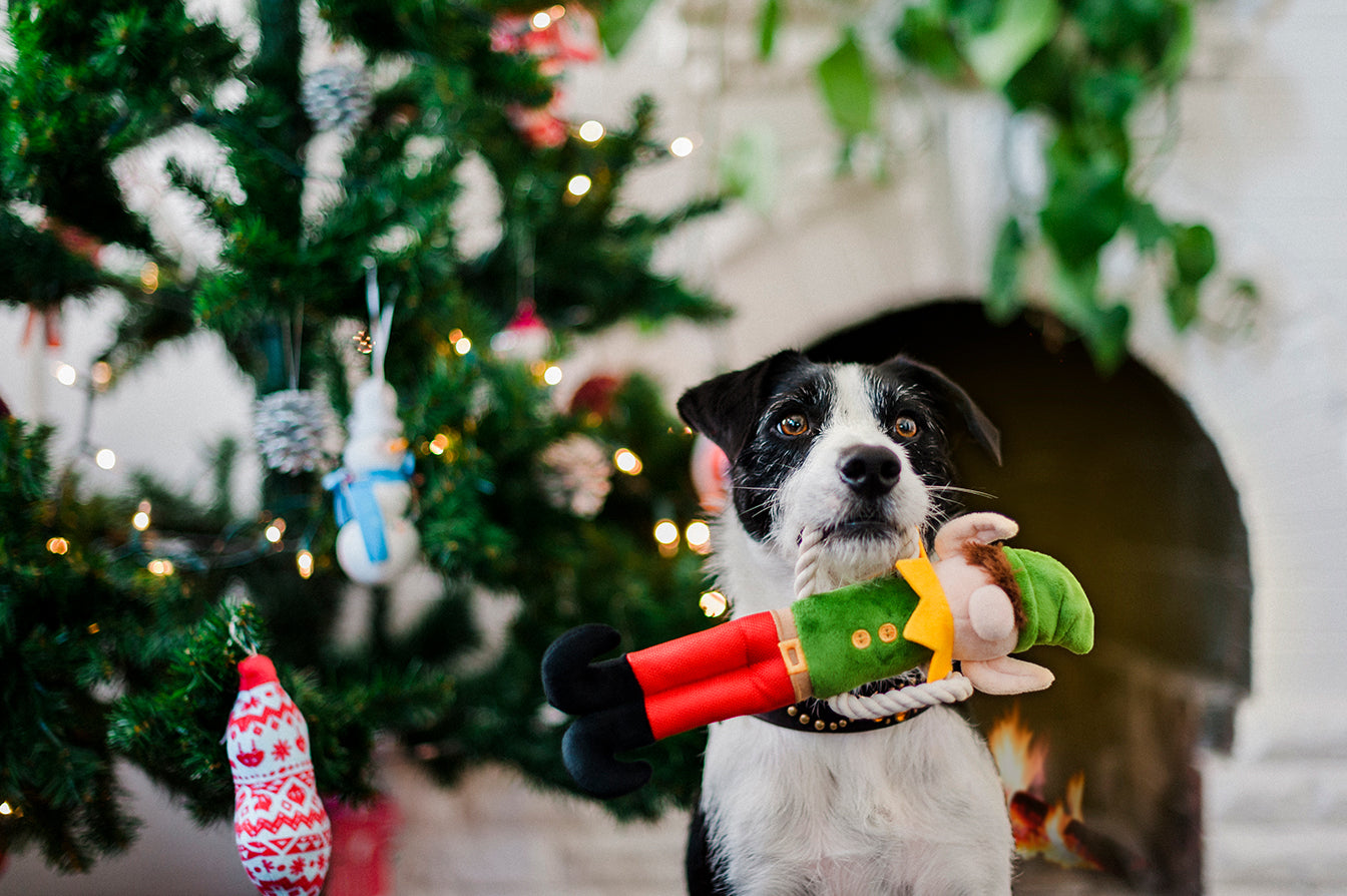 Merry Woofmas Collection