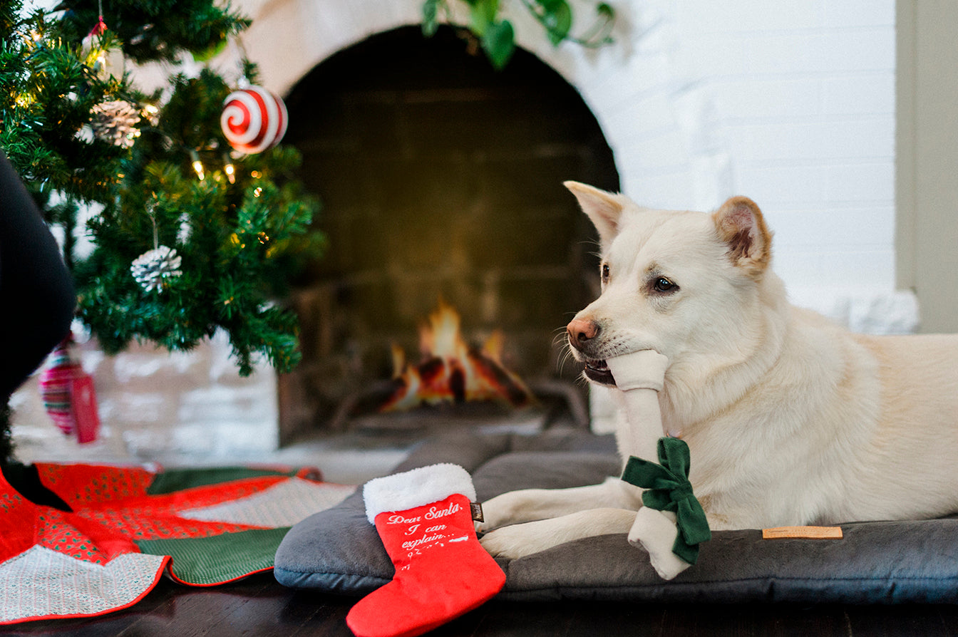 Merry Woofmas Collection