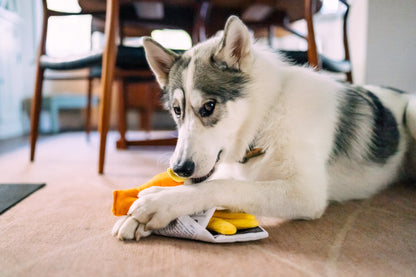 International Classic Chippy Chews