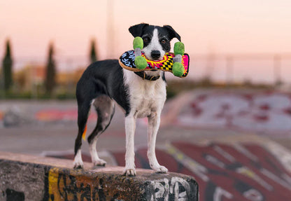 90s Classics Kickflippin' K9