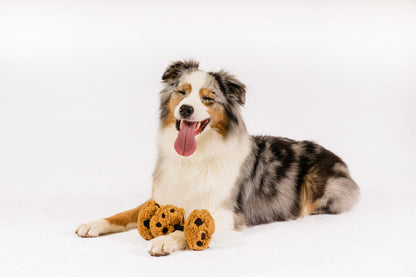 Pup Cup Cafe Cookies n’ Treats