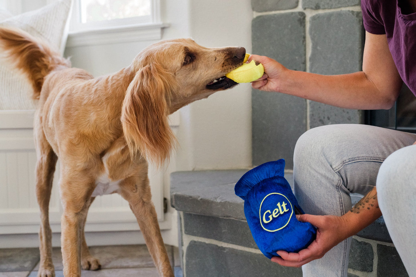 Paw-nukkah Gelt-y Treats