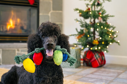 Home for the Holidays Collection